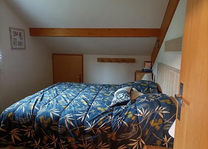 Appartement Gerardmer - Magnifique Vue Sur Le Lac - Jusqu\'A 4 Personnes